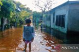 Sungai Siak meluap, 14.200 jiwa terdampak banjir di Pekanbaru