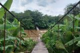 Jembatan gantung di OKU Timur putus diterjang banjir luapan Sungai Komering