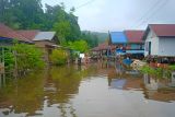 Sebanyak 100 KK terdampak banjir di Desa Onepute Morowali Utara