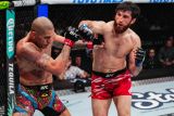 Magomedov Ankalev rebut juara di UFC dari Pereira