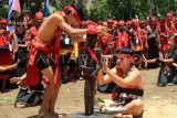 Sejumlah warga Dayak dari Pasukan Merah Tariu Borneo Bangkule Rajakng (TBBR) menari dalam HUT Keramat Patih Patinggi TBBR di Desa Sepang, Kecamatan Toho, Kabupaten Mempawah, Kalimantan Barat, Sabtu (8/3/2025). Kementerian HAM menggandeng lima ribu anggota Pasukan Merah TBBR sebagai Sahabat HAM untuk turut berperan dalam menyebarluaskan kesadaran mengenai pentingnya HAM dalam masyarakat di wilayah setempat. ANTARA FOTO/Jessica Wuysang/rwa. 