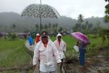 Tiga desa terdampak banjir di Kabupaten Sigi