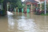 BPBD sebut enam daerah di Sumsel terdampak banjir