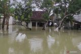 Warga Kabupaten  Grobogan mulai mengungsi akibat banjir