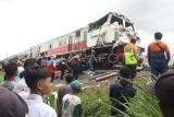 Sejumlah petugas mengevakuasi Kereta Api Kertanegara yang mengalami kecelakaan di Ngadiluwih, Kabupaten Kediri, Jawa Timur, Senin (10/3/2025). Kereta Api Kertanegara jurusan Malang-Purwokerto tersebut bertabrakan dengan truk pengangkut pupuk di perlintasan tanpa palang pintu KM 175+4 antara Stasiun Kras-Ngadiluwih Kabupaten Kediri dan mengakibatkan satu orang meninggal dunia. ANTARA FOTO/Prasetia Fauzani/rwa.