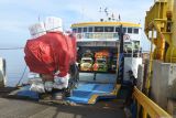 Kendaraan pikap memasuki kapal feri Wicitra Dharma I di Pelabuhan Jangkar, Situbondo, Jawa Timur, Selasa (11/3/2025). Warga Pulau Sapudi Sumenep mulai mudik lebih awal untuk menghindari kepadatan penumpang pada arus mudik Lebaran 2025. Antara Jatim/Seno/um