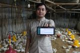 Dosen Fakultas Peternakan Universitas Brawijaya Danung Nur Adli menunjukkan grafik data suhu kelembaban dari alat pemantau suhu kandang ayam berbasis teknologi Internet Of Things (IOT) yang dikembangkannya di Malang, Jawa Timur, Selasa (11/3/2025). Alat yang diberi nama (Layanan Teknologi Real Time Untuk Ayam) Lentera tersebut menggunakan teknologi sensor mikrokontroler serta mampu mengirimkan data berupa grafik suhu dan kelembaban kandang ayam dalam rentang waktu dua menit melalui gawai sehingga peternak bisa segera mengambil tindakan untuk menekan angka kematian ayam yang diakibatkan perbedaan suhu saat cuaca ekstrim. Antara Jatim/Ari Bowo Sucipto/um