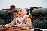 Waket II DPRD Barut sampaikan pokir dewan dalam FPD