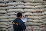 Petugas memeriksa ketersedian beras Bulog di Gudang Umbul Tengah Bulog, Kota Serang, Banten, Rabu (12/3/2025). Pemerintah melalui Kementerian Keuangan mengalokasikan anggaran sebesar Rp16,6 triliun untuk Perum Bulog untuk membeli beras/gabah dari petani pada tingkat harga yang ditetapkan sebagai upaya menjaga pasokan beras tetap stabil dan menjamin kesejahteraan petani. ANTARA FOTO/Muhammad Bagus Khoirunas/gp