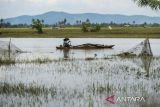 Seorang warga menggunakan perahu menerobos banjir yang merendam persawahan di Kampung Kajeroan, Desa Rancasanggal, Kabupaten Serang, Banten, Rabu (13/3/2025). Banjir akibat luapan Sungai Rawa Danau yang terjadi sejak Jumat (7/3) hingga saat ini masih merendam beberapa pemukiman serta puluhan hektare area persawahan dan akses antardesa Rancasanggal menuju Cikolelet terputus akibat banjir yang mencapai ketinggian sekitar 15-50 sentimeter. ANTARA FOTO/Muhammad Bagus Khoirunas/gp