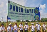 Kakanwil Ditjenpas NTT mengapresiasi panen raya jagung di Lapas Kupang