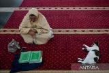 Umat muslim membaca ayat suci Al Quran di Masjid Pusat Dakwah Islam (Pusdai), Bandung, Jawa Barat, Rabu (12/3/2025). Bulan suci Ramadhan menjadi waktu bagi umat Islam dalam memperbanyak ibadah dengan membaca Al Quran, berzikir serta melaksanakan shalat sunah guna menambah amalan dan memohon ampunan. ANTARA FOTO/Raisan Al Farisi/agr