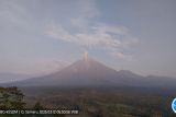 Gunung Semeru erupsi Rabu pagi, letusan hingga 1.000 meter