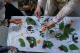 Perajin menyusun daun di atas kain putih untuk diproses pewarnaan cetak alami atau ecoprint di galeri Jejak Alam, Tulungagung, Jawa Timur, Rabu (12/3/2025). Permintaan busana muslim dengan corak dan pewarnaan ecoprint atau cetak alami selama Ramadhan ini meningkat dua kali lipat, yakni dari 20 pesanan dalam kurun sebulan kini bisa mencapai 50 permintaan. meliputi segmen pasar domestik hingga mancanegara seperti Malaysia, Singapura dan Taiwan dengan harga jual produk mulai Rp150 ribu hingga Rp1 juta per pcs. ANTARA JatimDestyan Sujarwoko/mas.