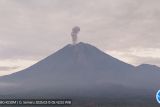 Gunung Semeru erupsi lima kali pada pagi ini