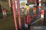 Anak - anak melintas banjir di Desa Tanjungmulya, Kabupaten Ciamis, Jawa Barat, Jumat (14/3/2025). Hujan deras yang mengguyur wilayah Kabupaten Ciamis pada Kamis (13/3) menyebabkan Sungai Citanduy meluap dan menurut BPBD Ciamis sebanyak 524 Kepala Keluarga (KK) terdampak banjir di empat Desa, Kecamatan Panumbangan. ANTARA FOTO/Adeng Bustomi/agr