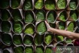 Pekerja mengemas apem yang siap dijual di Sentra Produksi Apem Barokah 1970, Desa Kadubungbang, Pandeglang, Banten, Jumat (14/3/2025). Pelaku usaha setempat mengaku permintaan apem khas Pandeglang yang biasa disajikan untuk menu berbuka puasa tersebut pada Ramadhan mengalami lonjakan permintaan dari rata-rata dapat memproduksi sebanyak 20 kilogram apem per hari menjadi 2 kwintal apem per hari dan dijualnya seharga Rp10.000 per bungkus. ANTARA FOTO/Muhammad Bagus Khoirunas/gp