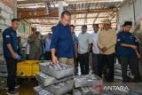 Kampung modern untuk nelayan bakal dibangun di Sape Bima