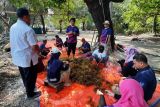 KKP bangkitkan geliat budidaya rumput laut