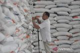 Perum Bulog Kanwil Bengkulu memastikan stok medium saat ini mencapai 2.406.084 kilogram (kg), sedangkan beras premium sebanyak 22.282,50 kg sehingga cukup untuk memenuhi kebutuhan warga saat Idul Fitri 1446 H. ANTARA FOTO/Muhammad Izfaldi