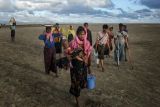 Badan PBB soroti kekurangan makanan di Myanmar