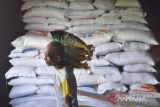 Pekerja mengangkut karung berisi beras di Gudang Bulog Baru (GBB) Sidomulyo, Kota Bengkulu, Bengkulu, Senin (24/3/2025). Perum Bulog Kanwil Bengkulu memastikan stok medium saat ini mencapai 2.406.084 kilogram (kg), sedangkan beras premium sebanyak 22.282,50 kg sehingga cukup untuk memenuhi kebutuhan warga saat Idul Fitri 1446 H. ANTARA FOTO/Muhammad Izfaldi