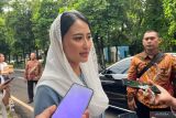 Wamendag koordinasi ke Satgas Pangan terkait ubah kemasan beras