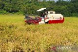 Harga bahan pokok di Boyolali terjaga stabil selama Lebaran