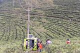 Mobil rombongan keluarga asal Gresik terperosok usai wisata ke Candi Cetho