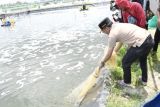 Gubernur Kalteng siapkan Shrimp Estate Berkah sebagai kawasan ekonomi produktif