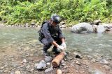 Brimob evakuasi penemuan peluru meriam di Lombok Tengah