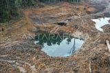 Foto udara Kawasan Hutan Dengan Tujuan Khusus (KHDTK) Diklat Kehutanan Fakultas Kehutanan Universitas Mulawarman yang telah hancur di Samarinda, Kalimantan Timur, Kamis (10/4/2025). Menurut Kepala Laboratorium Alam KHDTK Diklathut Fahutan Unmul Rustam Fahmy sekitar 3,26 hektare lahan di KHDTK itu diratakan oleh alat berat yang diduga untuk alih fungsi lahan sebagai penambangan ilegal yang berlangsung pada 5 April 2025. Antara Kaltim/M Risyal Hidayat