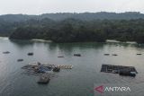 Foto udara keramba jaring apung (KJA) milik nelayan di Pantai Timur, Kabupaten Pangandaran, Jawa Barat, Kamis (10/4/2025). Sebanyak 40 kolam KJA berukuran 3x6 meter dengan kedalaman lima meter itu digunakan nelayan untuk membudidayakan ikan kerapu dan baramundi untuk meningkatkan ekonomi nelayan ketika hasil tangkapan ikan menurun. ANTARA FOTO/Adeng Bustomi/agr