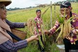 Tetua adat menyerahkan dua ikat padi yang diistilahkan sebagai kaki sedono (padi jantan) dan nini sedono (padi betina) warga dalam ritual labuh masal di Tulungagung, Jawa Timur, Jumat (11/4/2025). Upacara labuhan itu digelar setiap jelang panen raya padi dan telah menjadi tradisi turun-temurun sebagai wujud rasa syukur sekaligus doa agar hasil pertanian terus melimpah di daerah itu. Antara Jatim/Destyan Sujarwoko/um