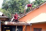 Warga memperbaiki atap rumah yang rusak karena angin puting beliung di Desa Tambibendo, Kabupaten Kediri, Jawa Timur, Sabtu (12/4/2025). Angin puting beliung yang disertai hujan di wilayah tersebut menyebabkan 20 rumah warga rusak dan sejumlah pohon besar tumbang. ANTARA Jatim/Prasetia Fauzani/mas.