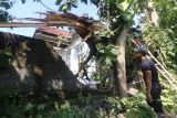 Warga mengamati tembok yang roboh karena tertimpa pohon akibat angin puting beliung di Desa Tambibendo, Kabupaten Kediri, Jawa Timur, Sabtu (12/4/2025). Angin puting beliung yang disertai hujan di wilayah tersebut menyebabkan 20 rumah warga rusak dan sejumlah pohon besar tumbang. ANTARA Jatim/Prasetia Fauzani/mas.