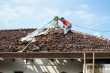 Petugas mengambil barang bukti plastik sisa ledakan balon udara berpetasan yang jatuh menimpa rumah warga di Desa Suruhan lor, Tulungagung, Jawa Timur, Minggu (13/4/2025). Sebanyak 15 remaja, sebagian di antaranya anak di bawah umur,  yang diidentifikasi sebagai pelaku penerbangan balon udara berpetasan saat ini diburu polisi karena ulah mereka menyebabkan sebuah rumah warga rusak berat terdampak ledakan balon udara berpetasan tersebut. ANTARA Jatim/Destyan Sujarwoko/mas.