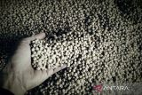 Bapanas minta distributor dan importir patuhi harga acuan kedelai