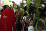 Umat Katolik mengikuti Misa Minggu Palma di Gereja Katolik Kelahiran Santa Perawan Maria di Jalan Kepanjen, Surabaya, Jawa Timur, Minggu (13/4/2025). Misa Minggu Palma itu merupakan rangkaian perayaan Paskah serta guna memperingati datangnya Yesus di Yerusalem. ANTARA Jatim/Didik Suhartono/mas.
