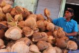 Pedagang menata kelapa yang didatangkan dari Bali di pusat grosir pasar Comboran, Malang, Jawa Timur, Rabu (16/4/2025). Menurut pedagang sejak sebulan terakhir pasokan kelapa datang terlambat sehingga harga kelapa di tingkat grosir meningkat dari Rp9 ribu menjadi Rp14 ribu per butir sementara di tingkat eceran melonjak dari Rp13 ribu menjadi Rp20 ribu per butir.  ANTARA Jatim/Ari Bowo Sucipto/mas.