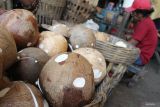 Pekerja mengupas kelapa di pusat grosir pasar Comboran, Malang, Jawa Timur, Rabu (16/4/2025). Menurut pedagang sejak sebulan terakhir pasokan kelapa datang terlambat sehingga harga kelapa di tingkat grosir meningkat dari Rp9 ribu menjadi Rp14 ribu per butir sementara di tingkat eceran melonjak dari Rp13 ribu menjadi Rp20 ribu per butir.  ANTARA Jatim/Ari Bowo Sucipto/mas.