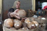 Pedagang menata kelapa kupas di pusat grosir pasar Comboran, Malang, Jawa Timur, Rabu (16/4/2025). Menurut pedagang sejak sebulan terakhir pasokan kelapa datang terlambat sehingga harga kelapa di tingkat grosir meningkat dari Rp9 ribu menjadi Rp14 ribu per butir sementara di tingkat eceran melonjak dari Rp13 ribu menjadi Rp20 ribu per butir.  ANTARA Jatim/Ari Bowo Sucipto/mas.
