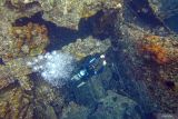 Wisatawan menyelam di atas kapal USS Liberty yang karam di perairan Laut Tulamben, Desa Tulamben, Kubu, Kabupaten Karangasem, Bali, Senin (14/4/2025). Perairan laut Tulamben merupakan destinasi wisata yang menawarkan pemandangan bawah laut diantaranya kapal karam milik Amerika USS Liberty, Batu Kelebit, Tulamben Wall, Coral Garden dan areal Anemone. ANTARA FOTO/Muhammad Adimaja/wsj.