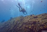 Wisatawan menyelam di atas kapal USS Liberty yang karam di perairan Laut Tulamben, Desa Tulamben, Kubu, Kabupaten Karangasem, Bali, Senin (14/4/2025). Perairan laut Tulamben merupakan destinasi wisata yang menawarkan pemandangan bawah laut diantaranya kapal karam milik Amerika USS Liberty, Batu Kelebit, Tulamben Wall, Coral Garden dan areal Anemone. ANTARA FOTO/Muhammad Adimaja/wsj.