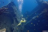 Wisatawan menyelam di atas kapal USS Liberty yang karam di perairan Laut Tulamben, Desa Tulamben, Kubu, Kabupaten Karangasem, Bali, Senin (14/4/2025). Perairan laut Tulamben merupakan destinasi wisata yang menawarkan pemandangan bawah laut diantaranya kapal karam milik Amerika USS Liberty, Batu Kelebit, Tulamben Wall, Coral Garden dan areal Anemone. ANTARA FOTO/Muhammad Adimaja/wsj.