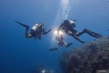 Wisatawan menyelam di atas kapal USS Liberty yang karam di perairan Laut Tulamben, Desa Tulamben, Kubu, Kabupaten Karangasem, Bali, Senin (14/4/2025). Perairan laut Tulamben merupakan destinasi wisata yang menawarkan pemandangan bawah laut diantaranya kapal karam milik Amerika USS Liberty, Batu Kelebit, Tulamben Wall, Coral Garden dan areal Anemone. ANTARA FOTO/Muhammad Adimaja/wsj.