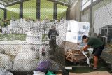 Pekerja mendistribusikan logistik pemungutan suara ulang (PSU) di gudang logistik KPU Kutai Kartanegara di Tenggarong, Kukar, Kalimantan Timur, Kamis (17/4/2025). Komisi Pemilihan Umum (KPU) Kabupaten Kutai Kartanegara mulai mendistribusikan logistik pemungutan suara ulang (PSU) pemilihan Bupati dan Wakil Bupati Kabupaten Kutai Kartanegara, Kalimantan Timur ke 1.447 TPS di 20 kecamatan pascaputusan Mahkamah Konstitusi. Antara Kaltim/M Risyal Hidayat