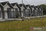 Petani memanen padi pada area persawahan di dekat salah satu perumahan subsidi di Kota Serang, Banten, Kamis (17/4/2025). Menteri Perumahan dan Kawasan Permukiman Maruarar Sirait akan memperluas sasaran penerima manfaat pembiayaan rumah subsidi dengan menyasar para pekerja sektor informal untuk memberikan keadilan yang sama dengan pekerja formal yang memiliki gaji. ANTARA FOTO/Angga Budhiyanto/gp