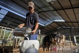 Pekerja menuangkan susu sapi ke dalam tabung penyimpanan di Peternakan Nusa Dairy Indonesia, Sumedang, Jawa Barat, Kamis (17/4/2025). Peternakan yang melibatkan masyarakat sekitar sebagai tenaga kerja tersebut dalam seharinya mampu memproduksi 150 liter susu sapi segar yang kemudian didistribusikan ke Satuan Pemenuhan Pelayanan Gizi (SPPG) di Kota Cimahi dalam memenuhi kebutuhan susu pada program makan bergizi gratis (MBG). ANTARA FOTO/Abdan Syakura/agr