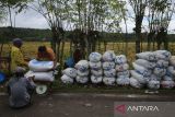 Petani menimbang karung berisi gabah kering panen (GKP) untuk dijual di desa Lampanah Leungah, Kecamatan Seulimum, kabupaten Aceh Besar, Aceh, Kamis (17/4/2025). Perum Bulog Kantor Wilayah Aceh mencatat realisasi penyerapan  gabah kering paneh (GKP) hingga 16 April 2025 di daerah itu  telah mencapai  68.514 ton setara beras atau melampui dari yang ditargetkan Janurai-April 2025 sebanyak  54.490 ton. ANTARA FOTO/Ampelsa.